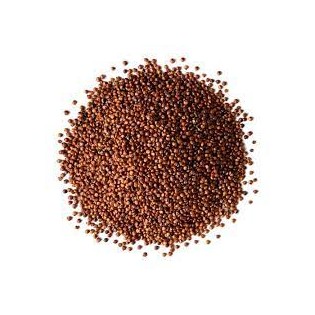 Quinoa roja (500 grs)